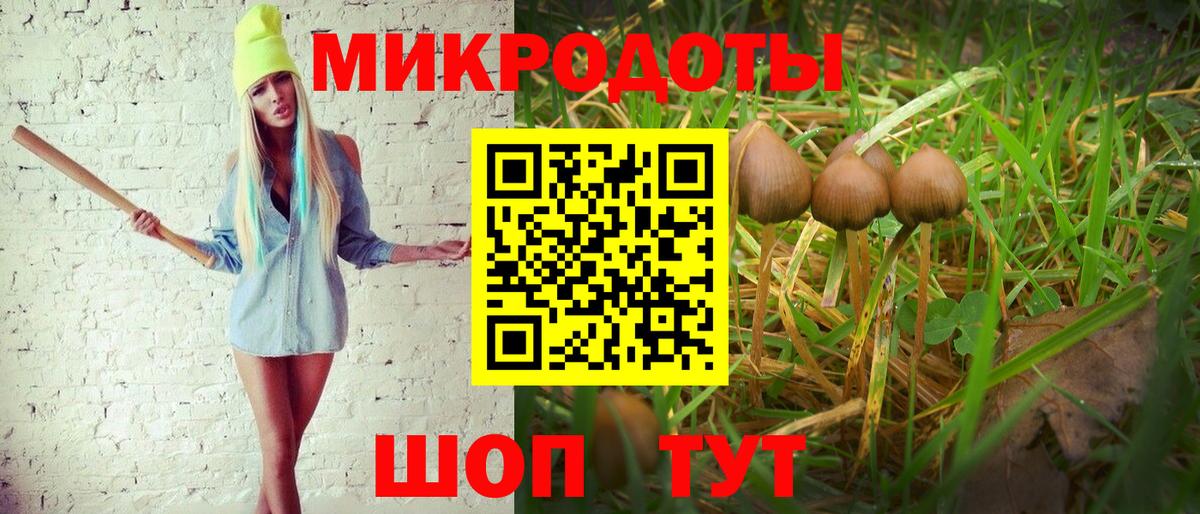 Аксай  Галлюциногенные грибы прущие грибы  Вход с VPN  наркота  Псилоцибиновые грибы мухоморы 